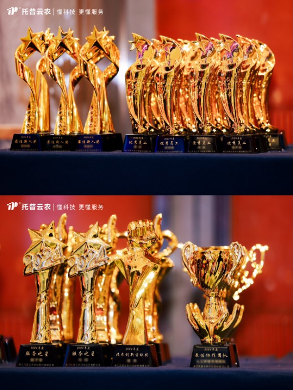 1737510964815515.jpg 11.jpg