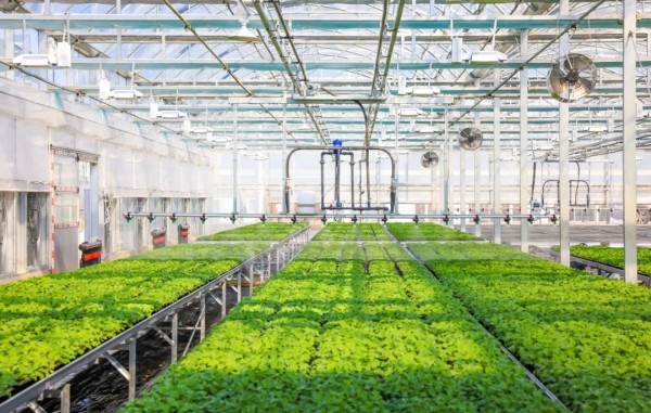 1739869840539013.jpg 谢径安中心_副本.jpg