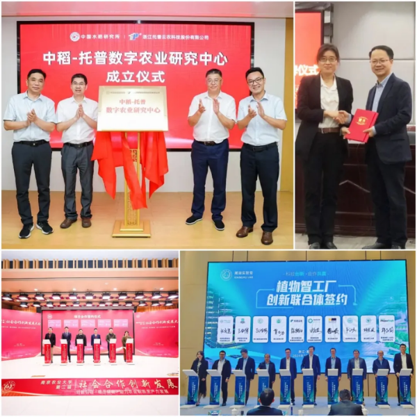 1741770869131855.png SEO-6.png