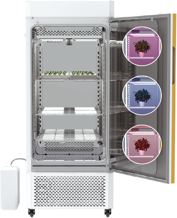 1742203217627648.png 8.png